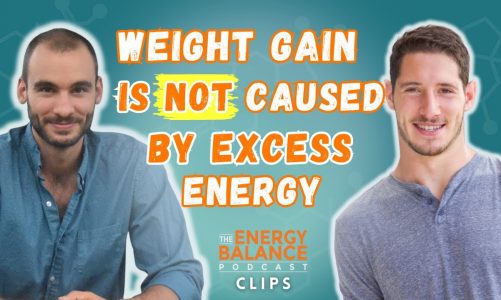 Weight Gain is NOT Caused By Excess Energy