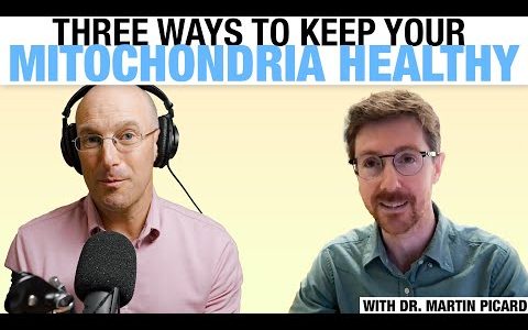 Mitochondria – The Key To Disease and Mental Health with Dr. Martin Picard