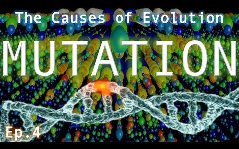 Mutation | The Causes of Evolution | Ep. 4