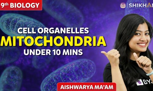 Structure and Function of Mitochondria | Class 9 | Fundamental Unit of Life | SHIKHAR 2024