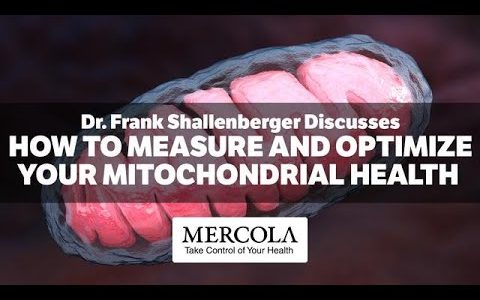 How To Measure And Optimize Your Mitochondrial Health – Interview With Dr. Frank Shallenberger