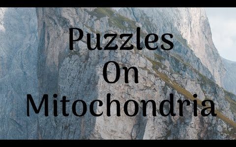 Puzzles on Mitochondria