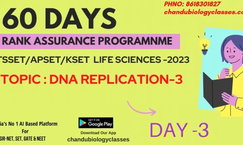 DNA REPLICATION PART-3 | 60 DAYS-RANK ASSURANCE PROGRAMME | TSSET | APSET | KSET | LIFE SCIENCES