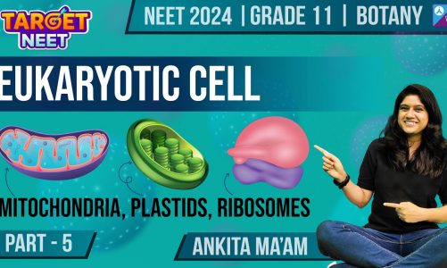 Eukaryotic cell- Mitochondria, Plastids, Ribosomes | Part-5 | Cell: The Unit of Life | NEET 2024