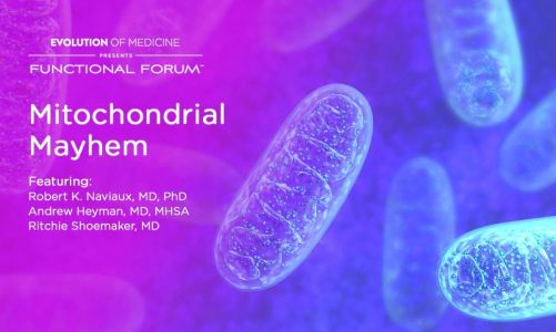 August Functional Forum: Mitochondrial Mayhem