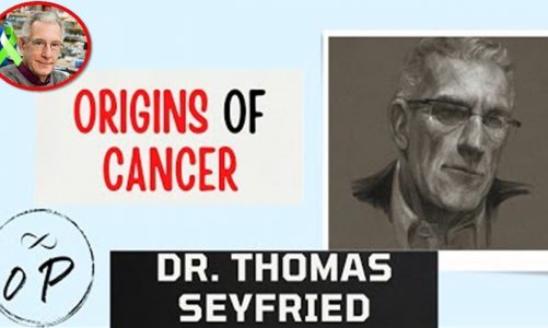 The Origin of Cancer with Professor Thomas Seyfried. Omnipotent Health and Fitness Episode#8