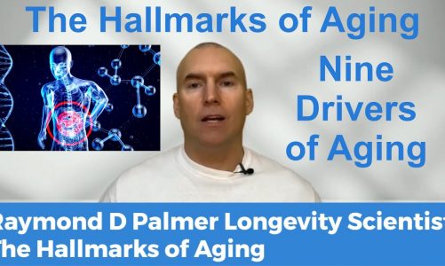 Hallmarks of the Aging Process – Why We Age