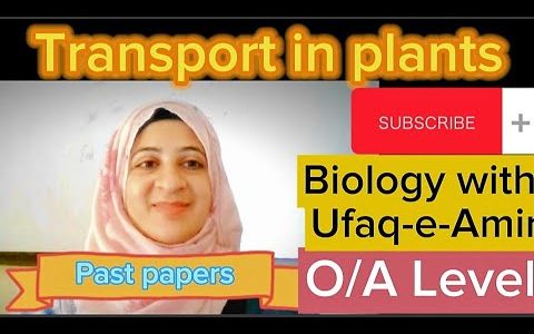 Transport in Plants | Past papers | Biology A Level | Biology with Ufaq-e-Amir