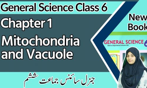 Class 6 Science Chapter 1 – Mitochondria and Vacuole – 6th Class General Science Chapter 1