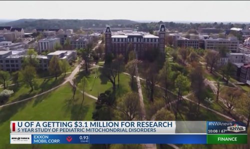 UA receives grant for mitochondria study