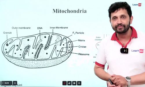 Common Entrance Examinations (CEE) – Mitochondria | Botany || Learnsic