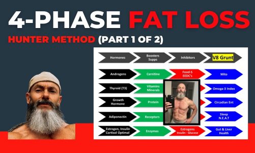 4-Phase Fat Loss (part 1 of 2)