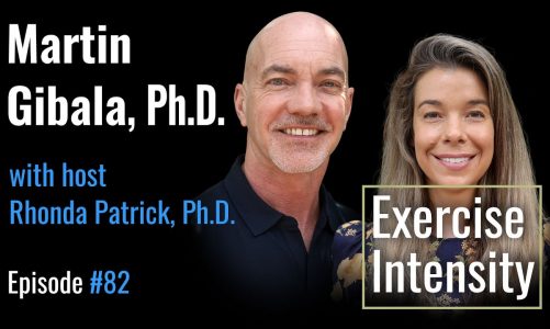 Dr. Martin Gibala: The Science of Vigorous Exercise — From VO2 Max to Time Efficiency of HIIT