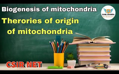 Biogenesis of Mitochondria|origin of mitochondria|theories regarding origin of mitochondria|#csirnet