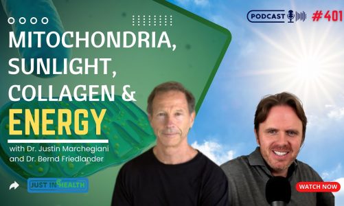 Mitochondria, Sunlight, Collagen, and Energy | Podcast #401 with Dr. Bernd Friedlander