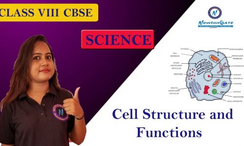 Cell Structure and Functions Full Chapter Class 8 Science | NCERT Science Chapter 8 | NewtonGATE