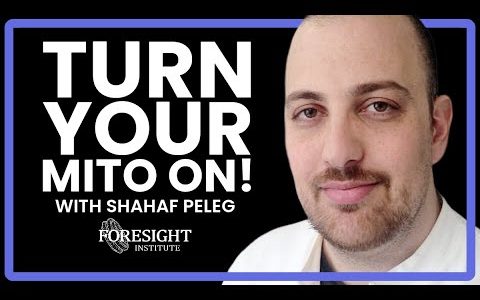 Shahaf Peleg | Turn your mito ON! – Harnessing Light Energy to Rewire Metabolism During Aging