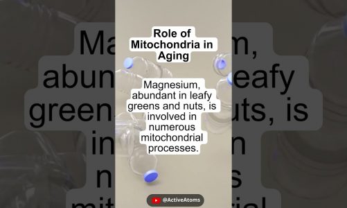 How to take care of your Mitochondria? #shorts #mitochondria #mitochondrialhealth #antiaging