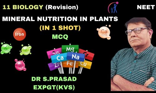 MINERAL NUTRITION IN PLANTS||IN ONE SHOT|| XI BIOLOGY|| NEET 2024||MCQ|| DR S.PRASAD||REVISION||