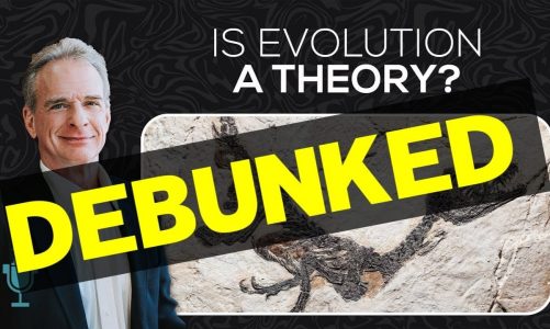 Debunking Theistic Evolutionism | A Response to William Lane Craig on Common Descent (Homology)
