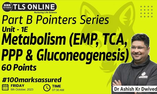I Part B Pointer I Metabolism (EMP, TCA, PPP & Gluconeogenesis) | Dr. Ashish Kr. Dwivedi |