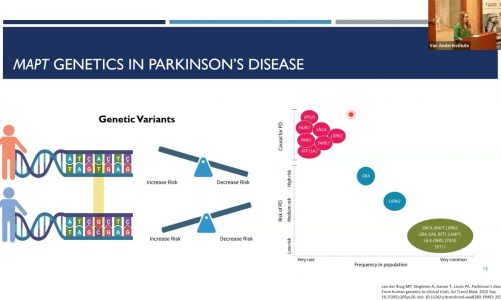 Protein Pathologies 2: Tau pathology and its impact in Parkinson’s (Rallying 2023)