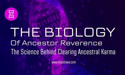 The biology of ancestor veneration: How ancestors create a DNA awakening