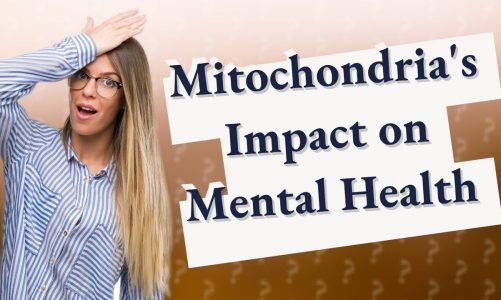 How Does Mitochondria Influence Inflammation in Serious Mental Illness?