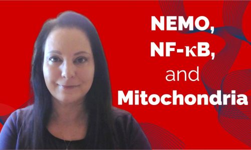 Journal Club – “Damaged mitochondria recruit the effector NEMO to…” – Presented by Jodie Pietruska