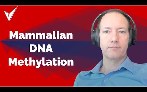 Journal Club – “Universal DNA methylation age across mammalian tissues” – Presented by Andy Lee