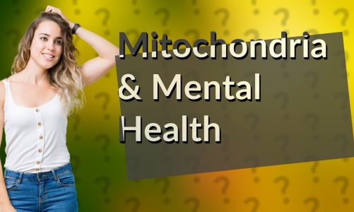 How Does Mitochondria Impact My Mental Health?