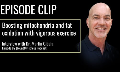 The effect of vigorous exercise on fat oxidation and mitochondria | Dr. Martin Gibala