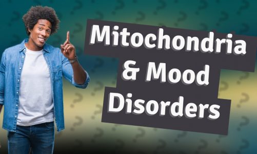 How Do Mitochondria Influence Mood Disorders?