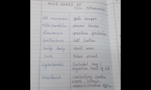 Nick names  of  cell  organelles .Important  for competitive  exams.