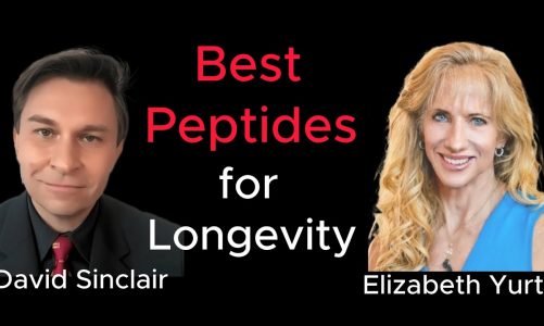 Best Peptides for Longevity – Sinclair & Yurth