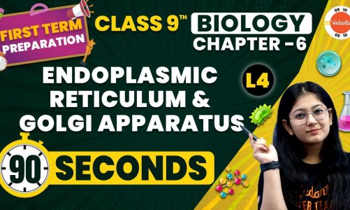Endoplasmic Reticulum and Golgi Apparatus | The Fundamental Unit of Life | CBSE Class 9 Biology