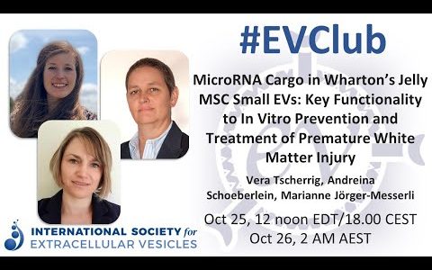 Vera Tscherrig, A. Schoeberlein, & M. Jörger-Messerli: Preventing white matter injury with MSC EVs