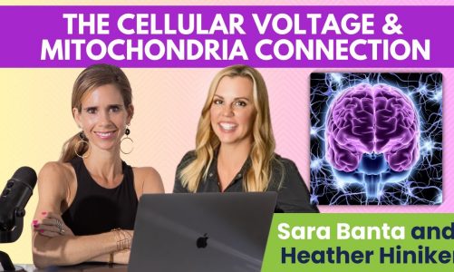 The Cellular Voltage and Mitochondria Connection