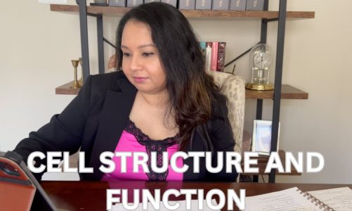 Mastering AP Biology: Cell structure and function practice MCQ