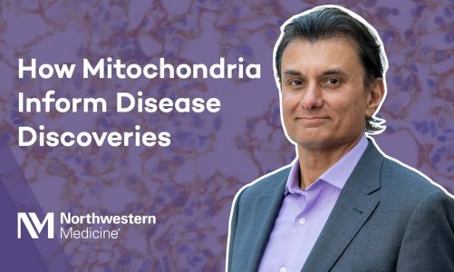How Mitochondria Inform Disease Discoveries with Navdeep Chandel, PhD