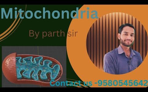 Mitochondria structure and function || mitochondria kise Kahate hai ||  koshika ka urja ghar kya hai