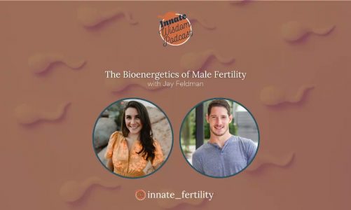 The Bioenergetics of Male Fertility