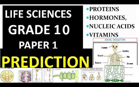 PREDICATION GRADE 10 LIFE SCIENCE PAPER 1 FINAL EXAM: THUNDEREDUC BY M.SAIDI
