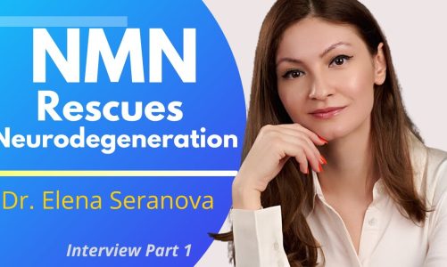 NMN Rescues Neurodegeneration | Dr Elena Seranova Interview Series Ep1