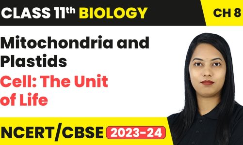Mitochondria and Plastids – Cell: The Unit of Life | Class 11th Biology Chapter 8 | CBSE
