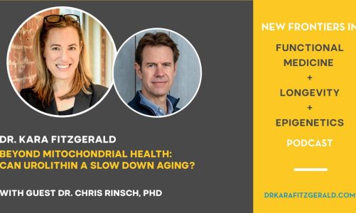 Beyond Mitochondrial Health: Can Urolithin A Slow Down Aging?