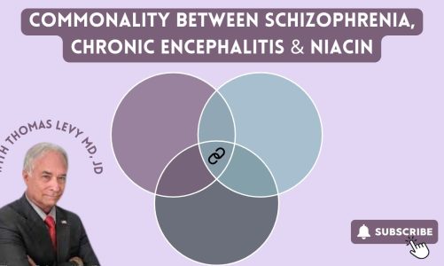 Thomas Levy, MD, JD, Commonality Between Schizophrenia, Chronic Encephalitis & Niacin