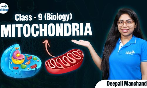 #Mitochondria || Class 9 Biology || Deepali Manchanda || Infinity Learn 9&10