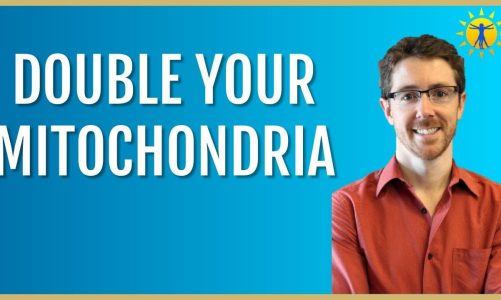 ☀️ How to Double Your Mitochondria with ONE Simple Lifestyle Factor