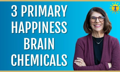 ☀️ Dopamine, Oxytocin, Serotonin – How to Maximize the 3 KEY Brain Chemicals For Happiness